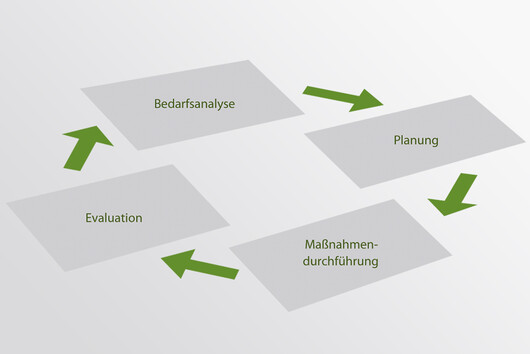 Grafik Kompetenzspektrum