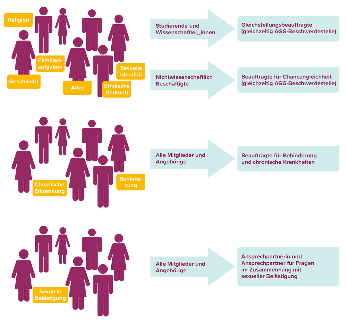 Organigramm der Diskriminierungsbeauftragten