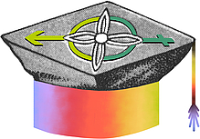 Foto Logo Gender als Thema im Studium