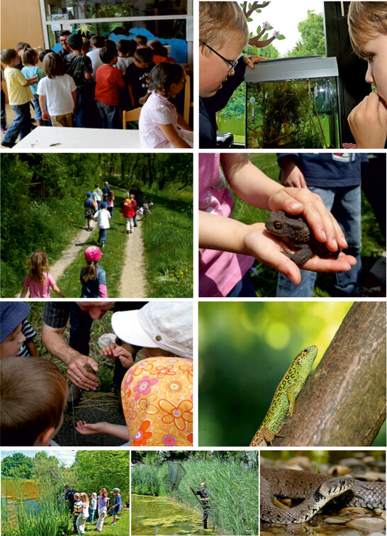 Foto Collage Biologie