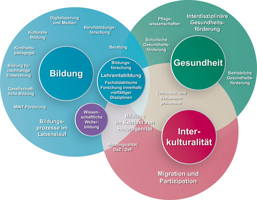 Wissenschaftliche Profilgrafik der PH (PDF, 4 MB)